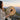 How to Use a Shamanic Drum for Journeying