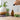 Essential Oils: A Grounded Guide to Everyday Use