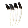 Native American Style Imitation Eagle Feather 10–12″ - Smudging, Ritual & Prayer Feather