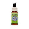 Alaskan Essences Easy Learning Focus & Integration Formula dietary supplement dropper bottle