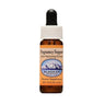 Alaskan Essences Pregnancy Support dietary supplement in a small amber glass dropper bottle.