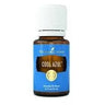 Cool Azul essential oil in a small amber glass bottle with a white cap.