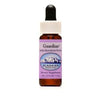 Guardian Healthy Boundaries dietary supplement liquid dropper bottle.