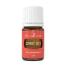 Young Living Carrot Seed 100% Pure Essential Oil in a small amber glass bottle