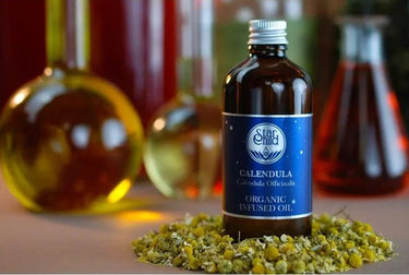 Organic Calendula infused oil in a dark glass bottle surrounded by dried chamomile flowers.