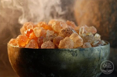 Acacia Gum 30g – Sacred Herb Resin Incense for Purification & Protection -