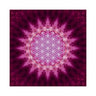 1562952448-45034900 - Sacred Essence