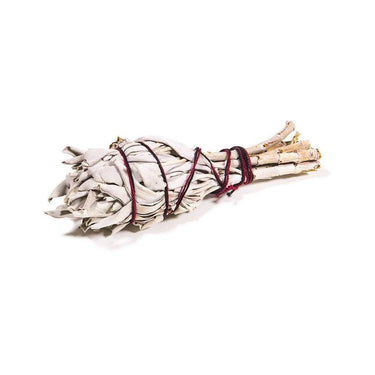 White Sage Torch Smudge Stick - Sacred Essence