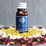 Benzoin Absolute Essential Oil (1:9) 10ml – Warm & Grounding -