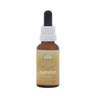 Transition Essence 30ml Oral Drops – Life Change Support -