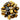 Tiger Eye Healing Tumblestone 3–4cm – Confidence & Grounding -