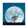 1633640677-38149500 - Sacred Essence