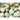 1636901180-61315100 - Sacred Essence