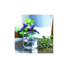 1678017860-94205300 - Sacred Essence