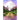1680944987-73953100 - Sacred Essence