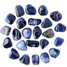 1737733358-99414600 - Sacred Essence
