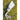 1741363560-96512100 - Sacred Essence