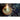 1743751837-21390400 - Sacred Essence