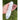 1743783599-28725200 - Sacred Essence