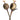 1747098115-12390200 - Sacred Essence