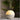 1747914251-70262500 - Sacred Essence
