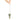1757403474-27488800 - Sacred Essence