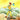 A tarot card illustration labeled 'O The Fool' at the bottom. The scene shows a person in a yellow outfit walking on rocky ground with a white dog, carrying a blue sack on a pole, with mountains and a yellow sky in the background.