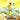 A tarot card illustration labeled 'O The Fool' at the bottom. The scene shows a person in a yellow outfit walking on rocky ground with a white dog, carrying a blue sack on a pole, with mountains and a yellow sky in the background.