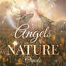 Front cover of the 'Angels of Nature Oracle' card deck and guidebook by Sandra Anne Taylor, featuring an illustration of a winged angel standing among deer in a glowing natural landscape.