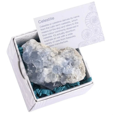 celestite_cluster_3 - Sacred Essence