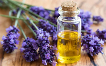 iStock-696970412 - Sacred Essence