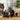 A cat and dog sniffing an essential oil diffuser with amber bottles and lavender.