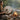 A woman playing a shamanic drum by a campfire in a forest setting for ritual and meditation.