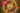 Florida Water Murray & Lanman bottle surrounded by an ornate floral and citrus wreath.