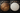 Frame Drums vs Remo Synthetic Drums - Sacred Essence