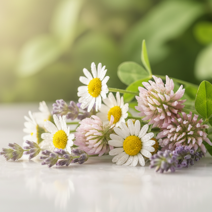 What Are Vibrational Flower Essences and How Do They Support Wellbeing?