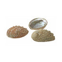 1435335342-54392200_eab18de2-823e-4dd7-a032-b4aa36b70224 - Sacred Essence