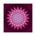 1562952448-45034900 - Sacred Essence