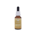 1575381699-04976900 - Sacred Essence