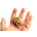 1650757213-16695700 - Sacred Essence