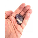 1682070257-52757700 - Sacred Essence