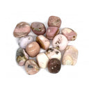 1682175538-53041000 - Sacred Essence