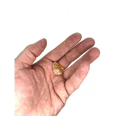 1692435834-94994200 - Sacred Essence