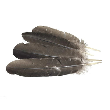 1696689776-25981400 - Sacred Essence