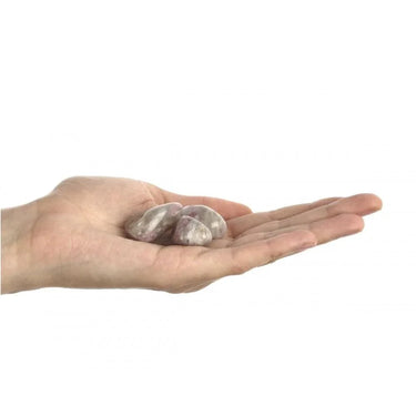 1737883735-17022800 - Sacred Essence