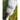 Handmade Wedding Feather Fan 15″–18″ – Black Obsidian Arrow for Blessing & Ceremony