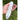 Selenite Ritual Wand 18.5cm – Engraved Energy Cleansing Tool