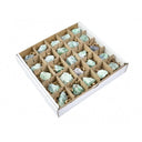 1746602189-62696000 - Sacred Essence