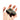Andean Frog Totem Meteorite Stone 8cm – Shamanic Peruvian Altar Symbol of Renewal