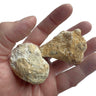 Calcite & Quartz Geode 4–8cm Uncracked – Natural Break-Open Crystal -